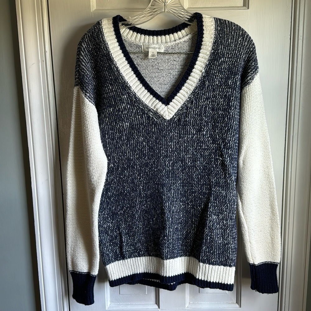 Treasure & Bond V-Neck Sweater